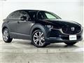 2020 Mazda CX-3