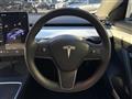 2021 Tesla Motors Others