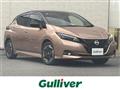 2022 Nissan Leaf