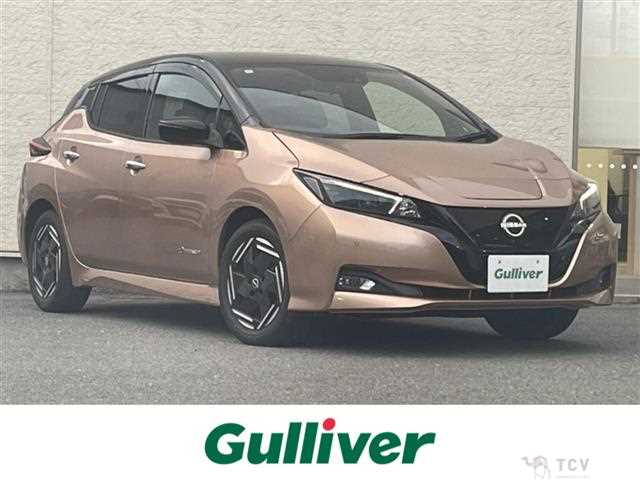2022 Nissan Leaf