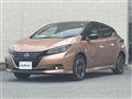 2022 Nissan Leaf