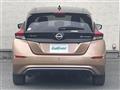 2022 Nissan Leaf