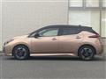 2022 Nissan Leaf
