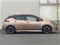 2022 Nissan Leaf