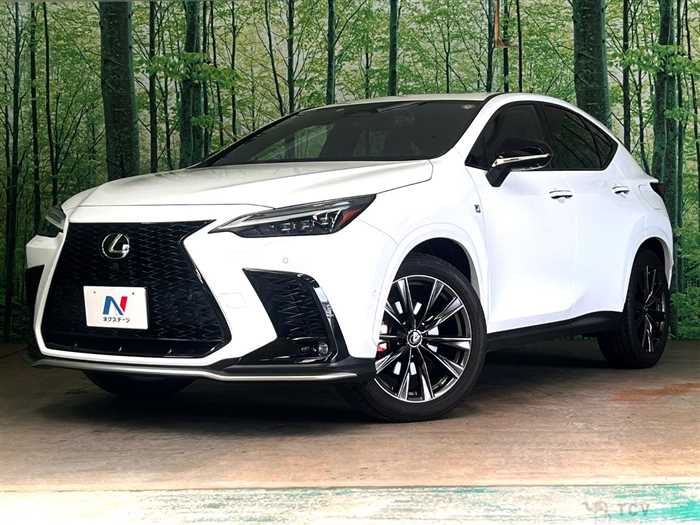 2022 Lexus NX