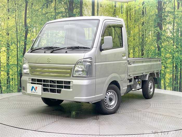 2018 Suzuki Carry Truck