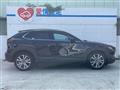 2022 Mazda Mazda Others