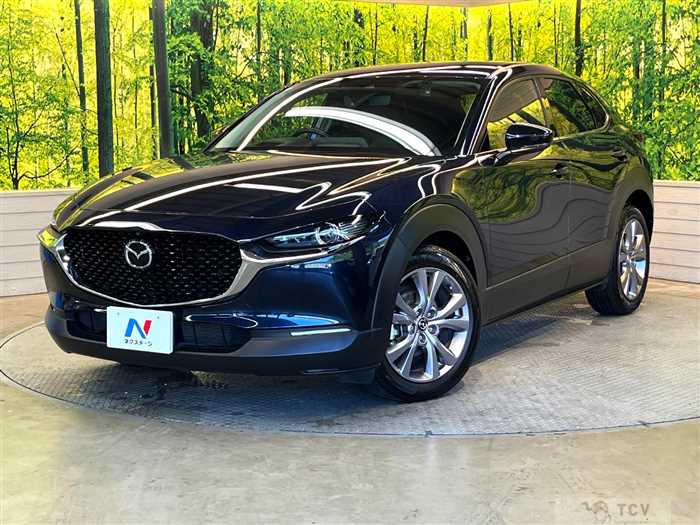 2020 Mazda Mazda Others