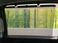 2019 Honda Freed+