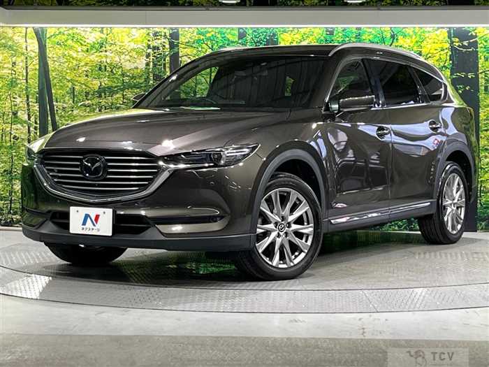2018 Mazda CX-8