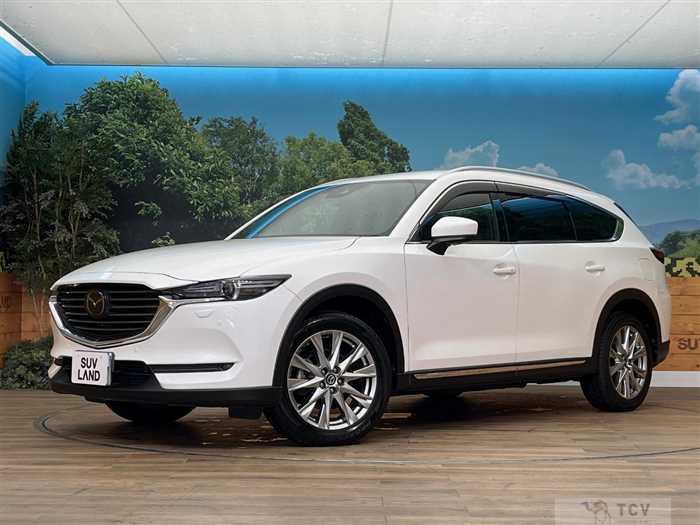 2018 Mazda CX-8