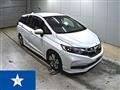 2021 Honda Shuttle