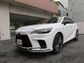 2025 Lexus RX