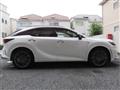 2025 Lexus RX