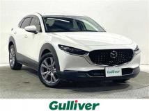 2019 Mazda CX-3
