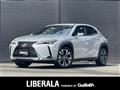 2019 Lexus UX
