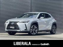 2019 Lexus UX