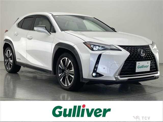 2019 Lexus UX