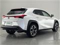 2019 Lexus UX