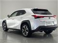 2019 Lexus UX