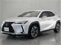 2019 Lexus UX