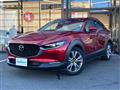 2019 Mazda CX-3