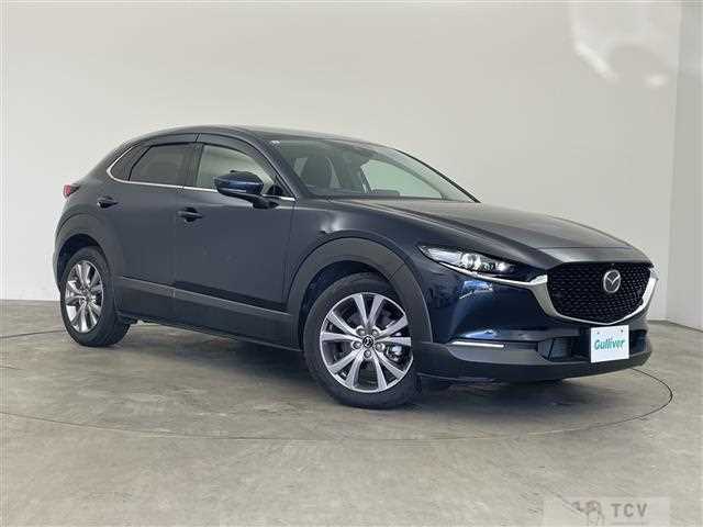 2019 Mazda CX-3
