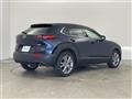 2019 Mazda CX-3