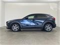2019 Mazda CX-3