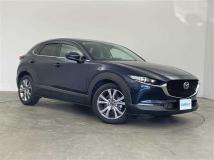 2019 Mazda CX-3