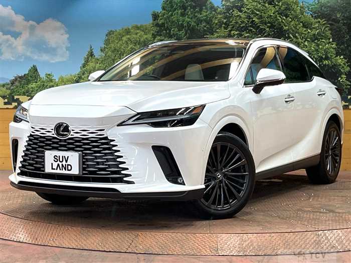 2024 Lexus RX