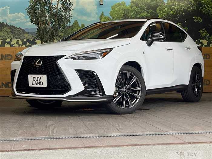 2023 Lexus NX