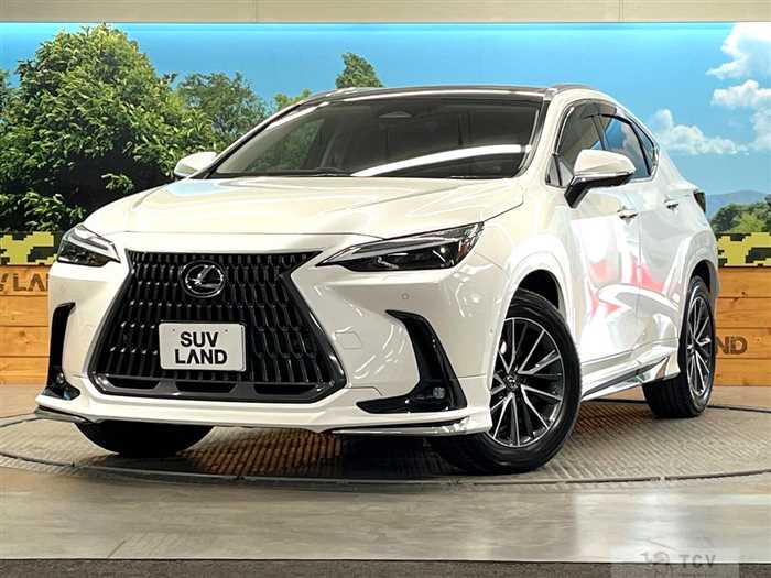 2024 Lexus NX