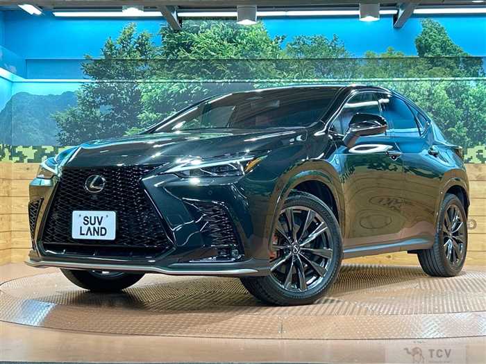 2023 Lexus NX