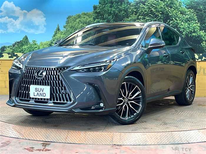 2023 Lexus NX