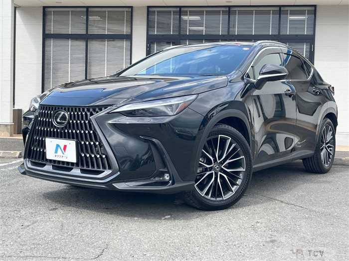 2023 Lexus NX