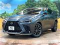 2023 Lexus NX