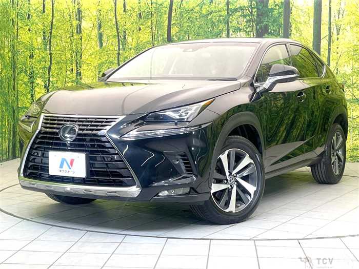 2017 Lexus NX