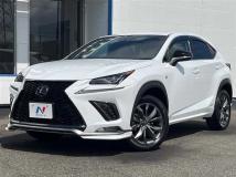 2017 Lexus NX