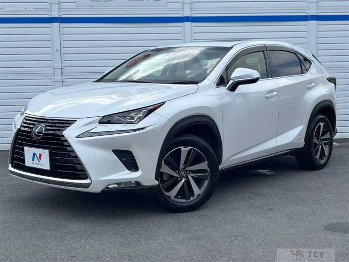 2018 Lexus NX