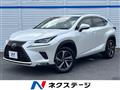 2018 Lexus NX