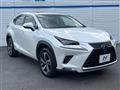 2018 Lexus NX