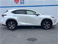 2018 Lexus NX