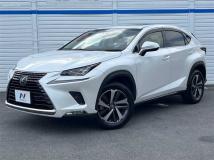 2018 Lexus NX