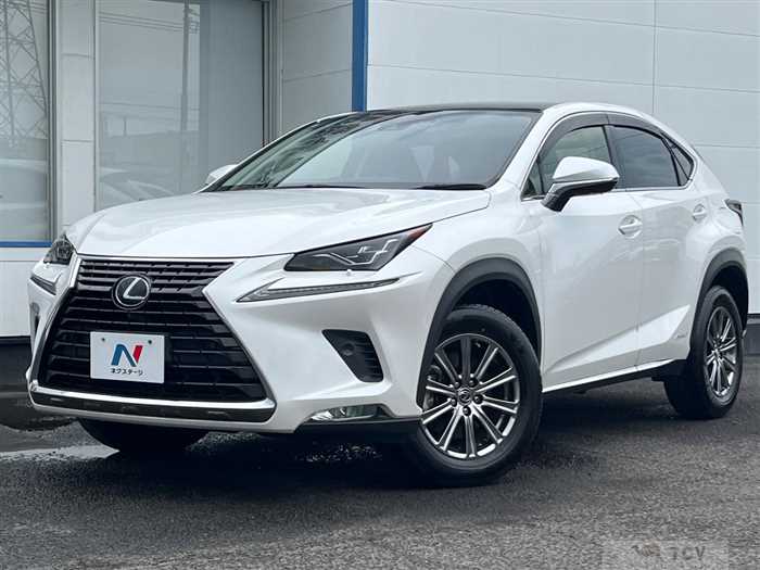 2020 Lexus NX