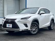 2020 Lexus NX