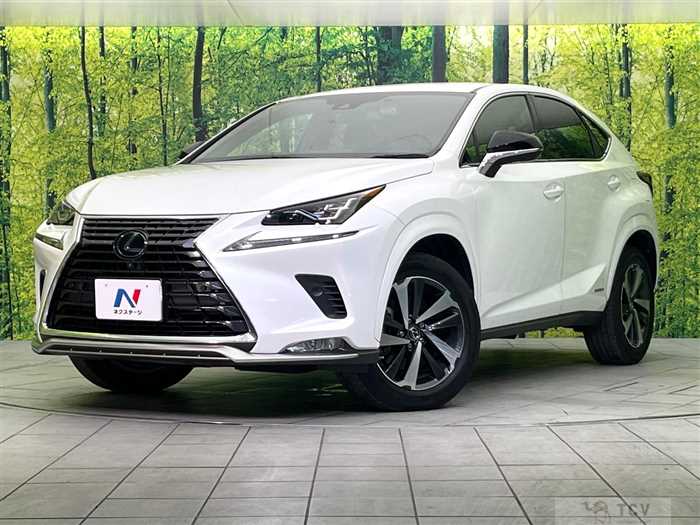 2020 Lexus NX