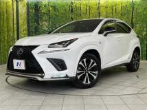 2019 Lexus NX