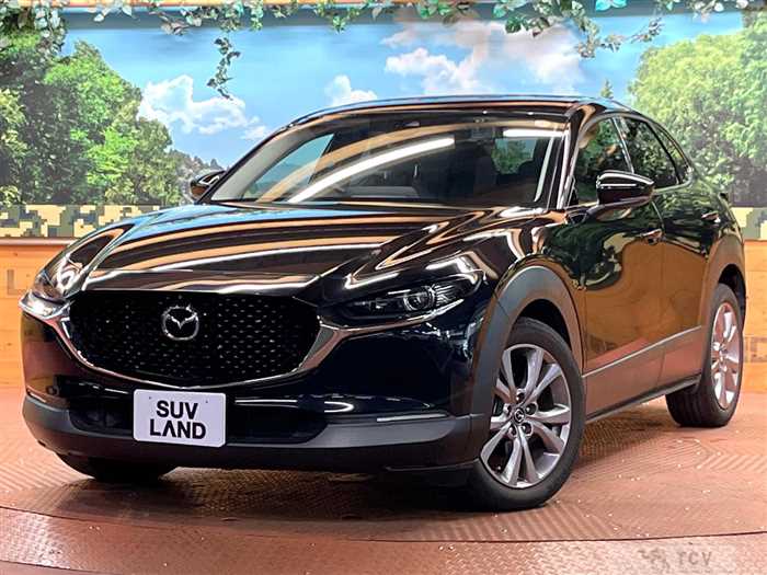 2019 Mazda Mazda Others