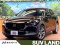 2019 Mazda Mazda Others